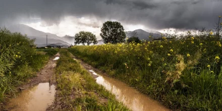 Outdoor: Regen