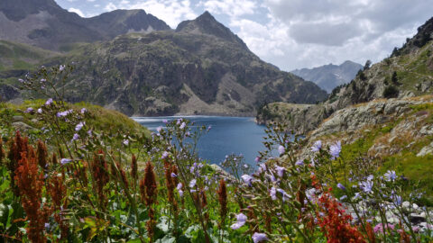 Ufer des Embalse de Respomuso